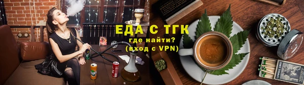 шишки Верея