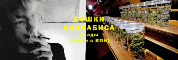 тгк Бронницы