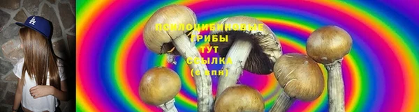 шишки Верея