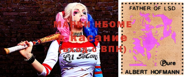 шишки Верея