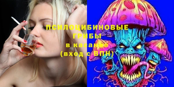 шишки Верея