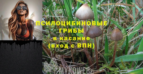 спайс Верхний Тагил